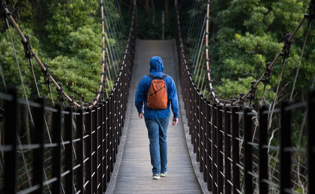 Daylight Backpack