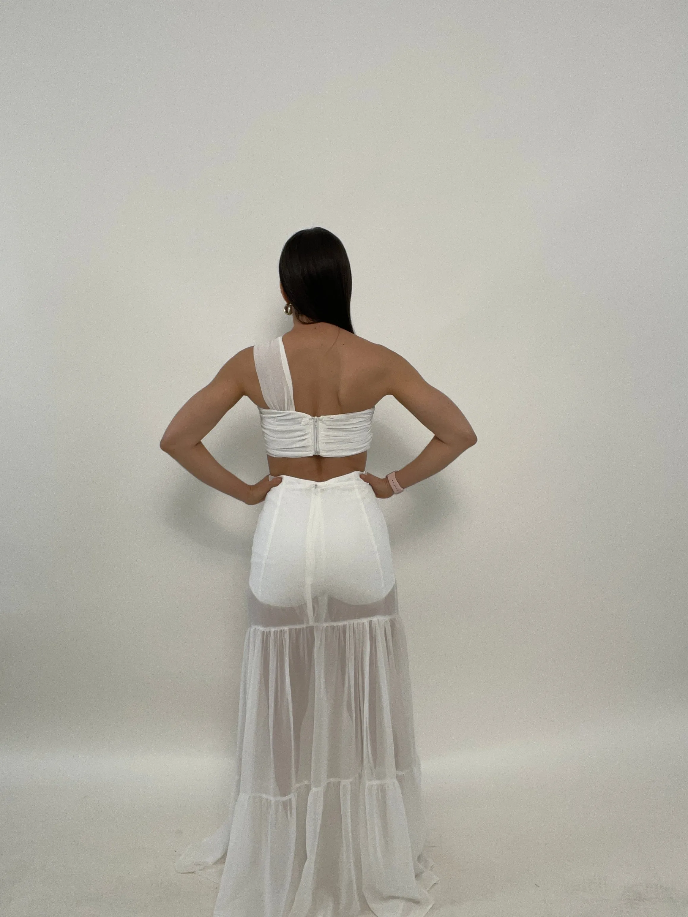 Marisol Sheer Maxi Dress
